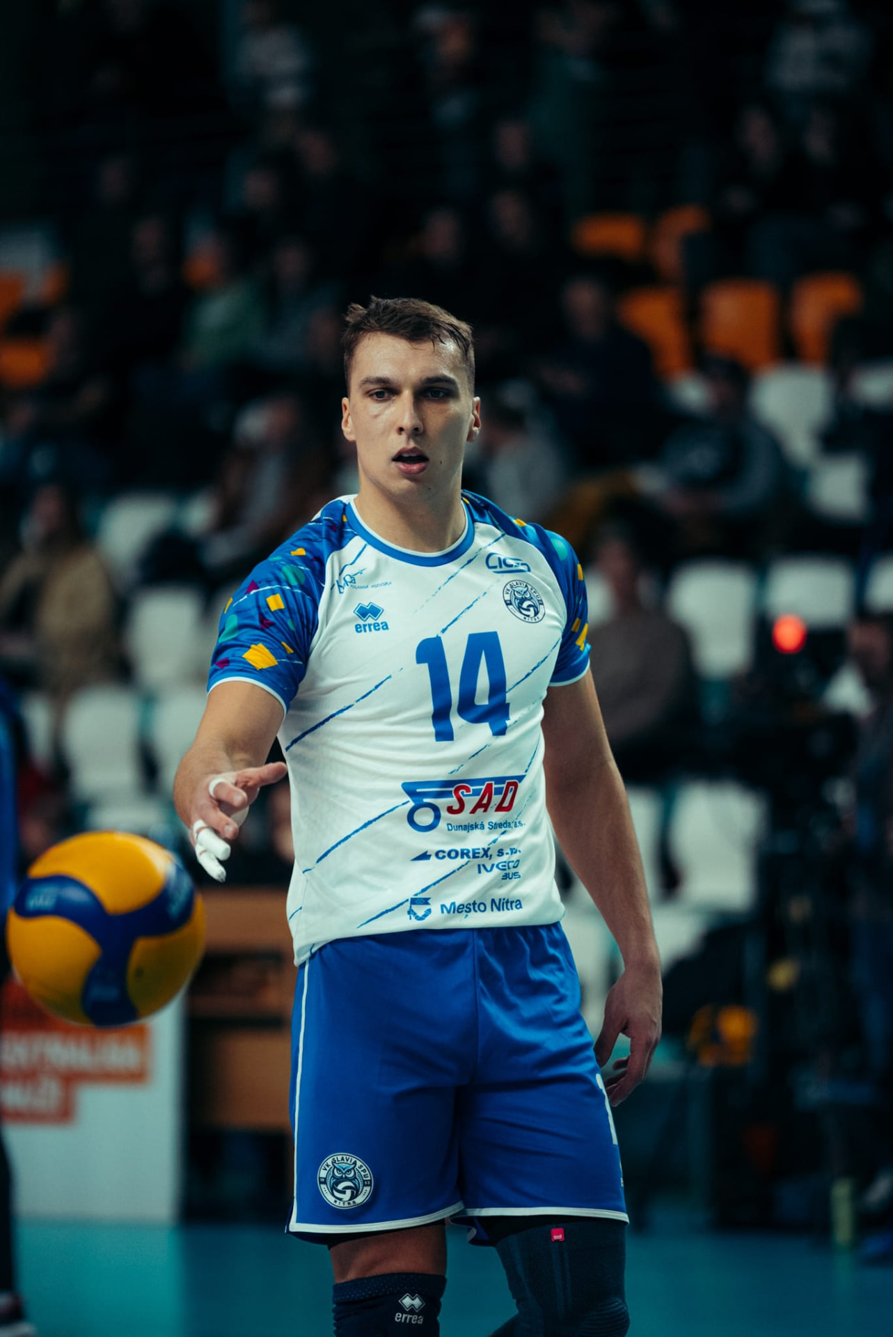 Marek Gergely, professional outside hitter